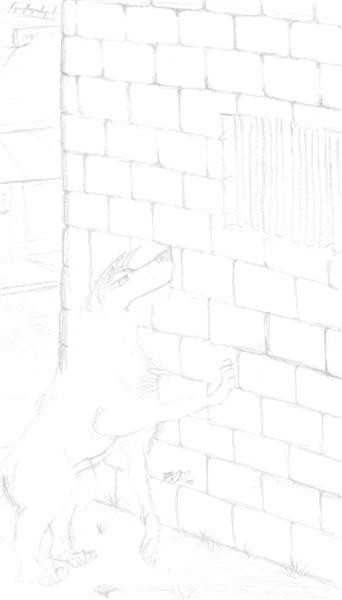 Imprisonment