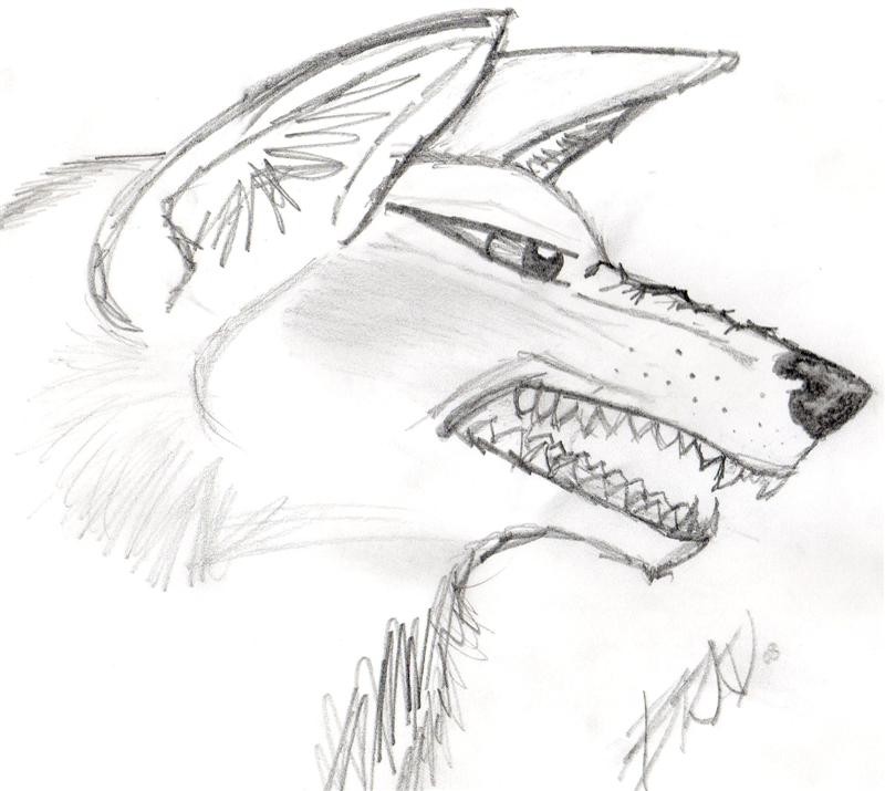 Angry