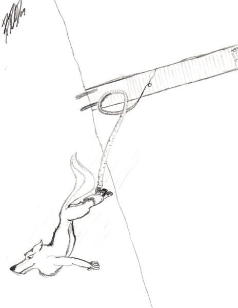 Free Falling