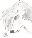 random wolf....