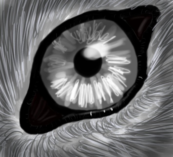 Wolf Eye -edit-