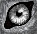 Wolf Eye -edit-