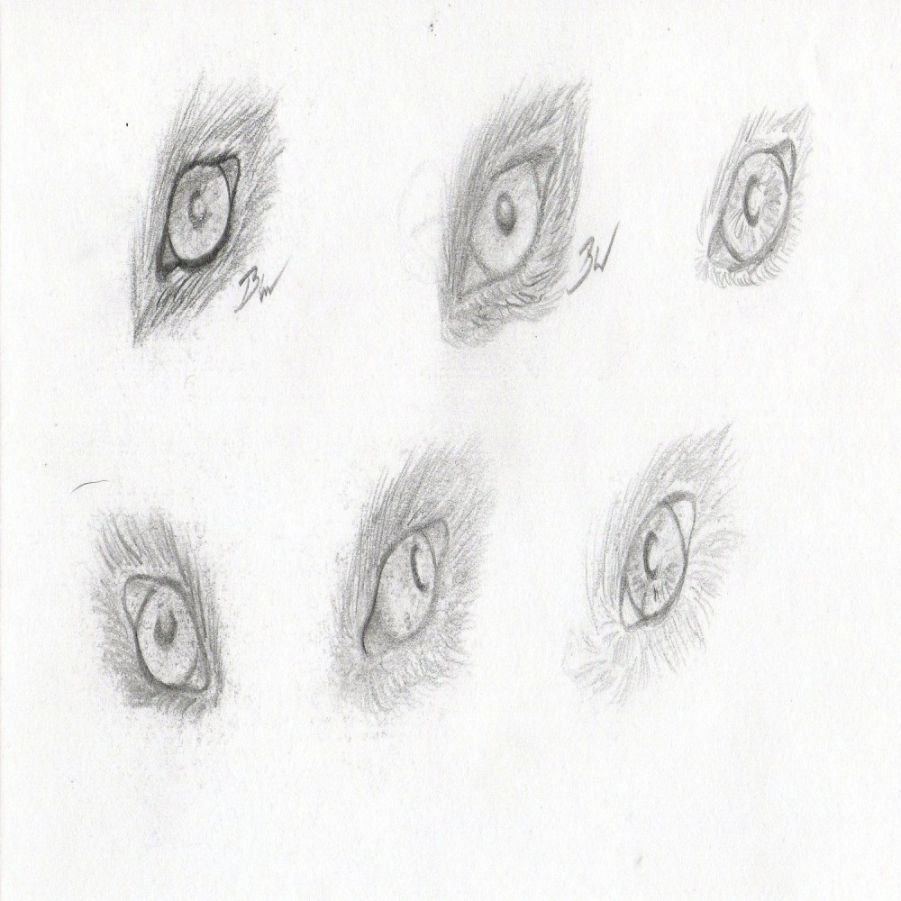 Eye Sketches