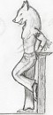 Male Anthro Pose