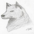 Wolf Pre-painting