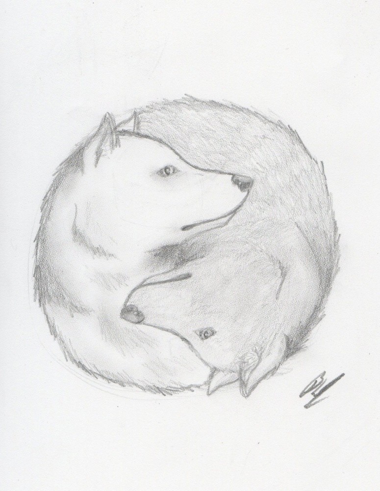 Wolf Ying-Yang