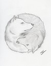 Wolf Ying-Yang