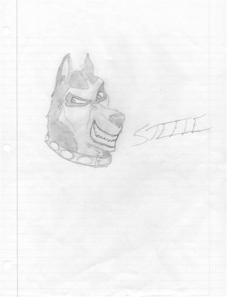 Steele head 
