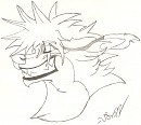 Wolf Sora