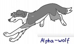 Alpha-wolf