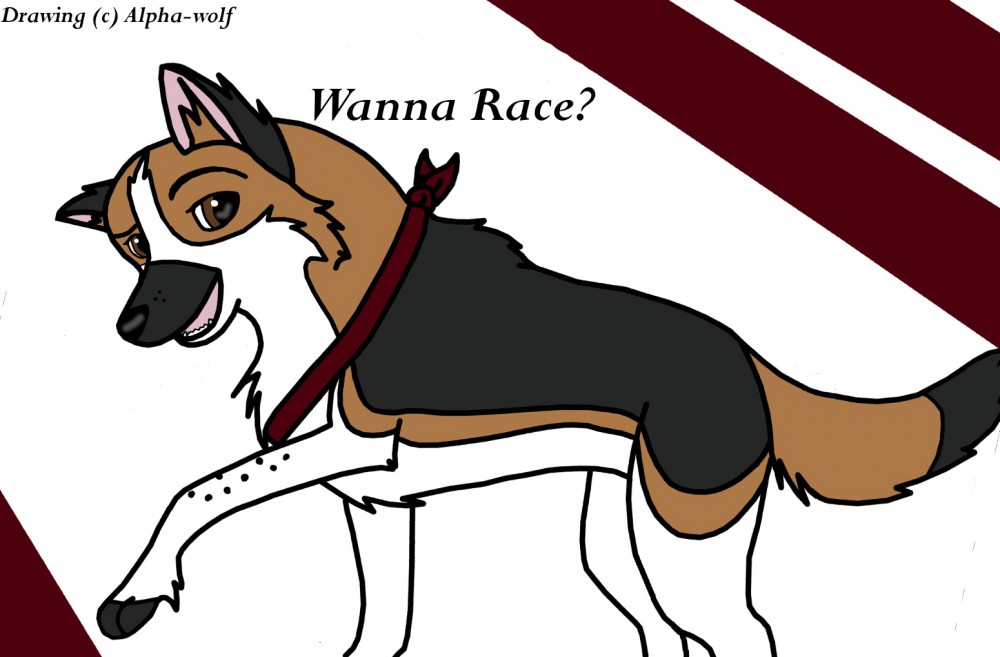 Wanna Race?