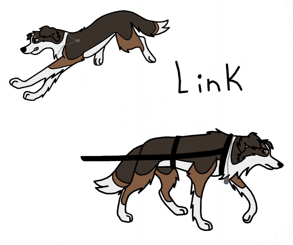 Link Ref