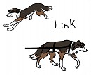 Link Ref