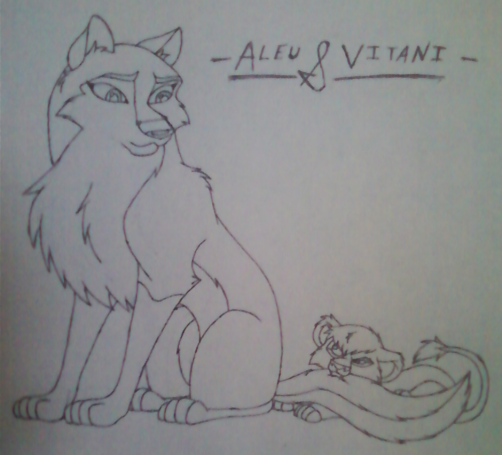 Aleu & Vitani