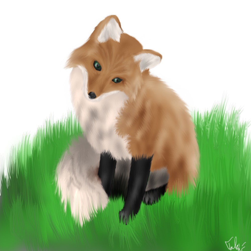 Fox Fixy