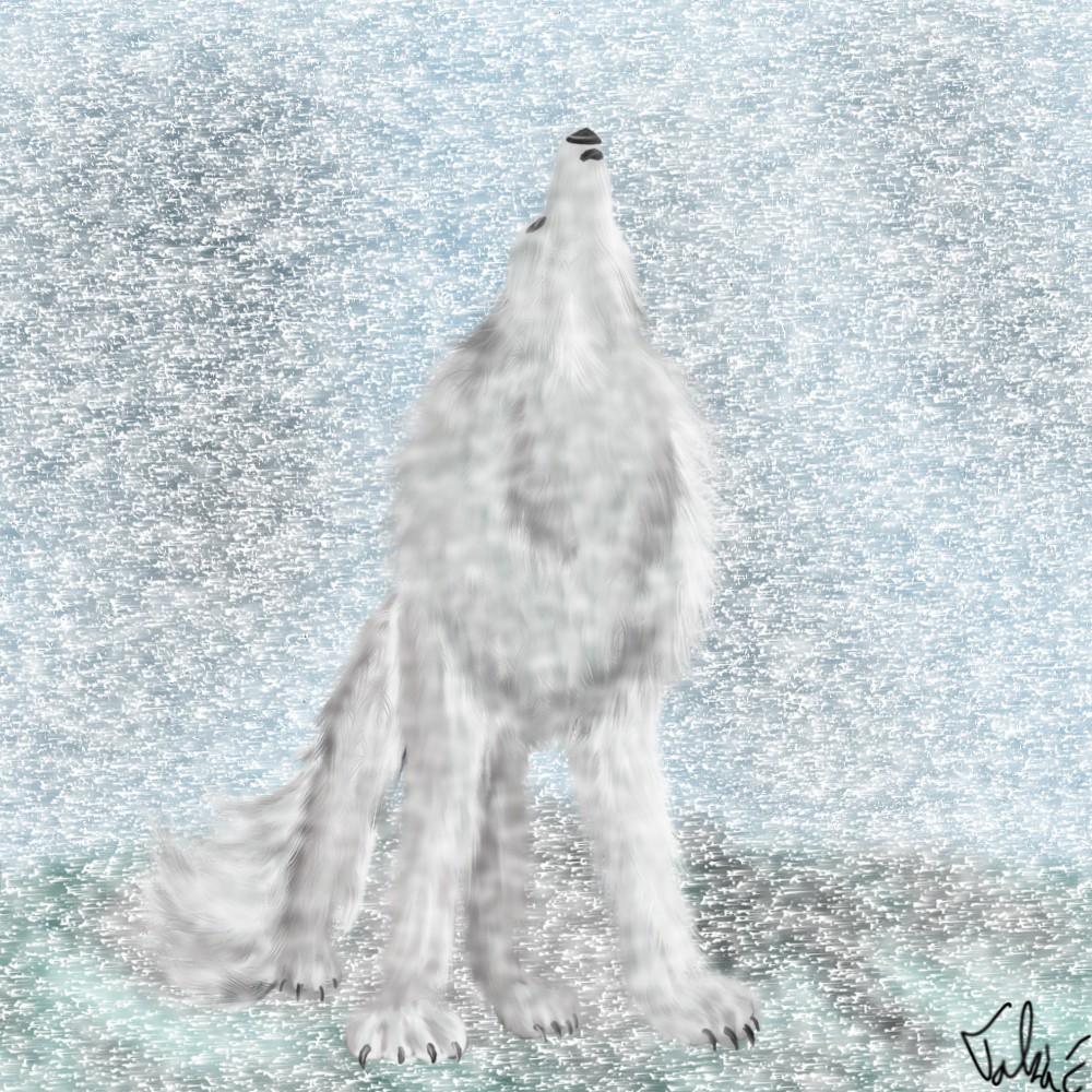White wolf howling 