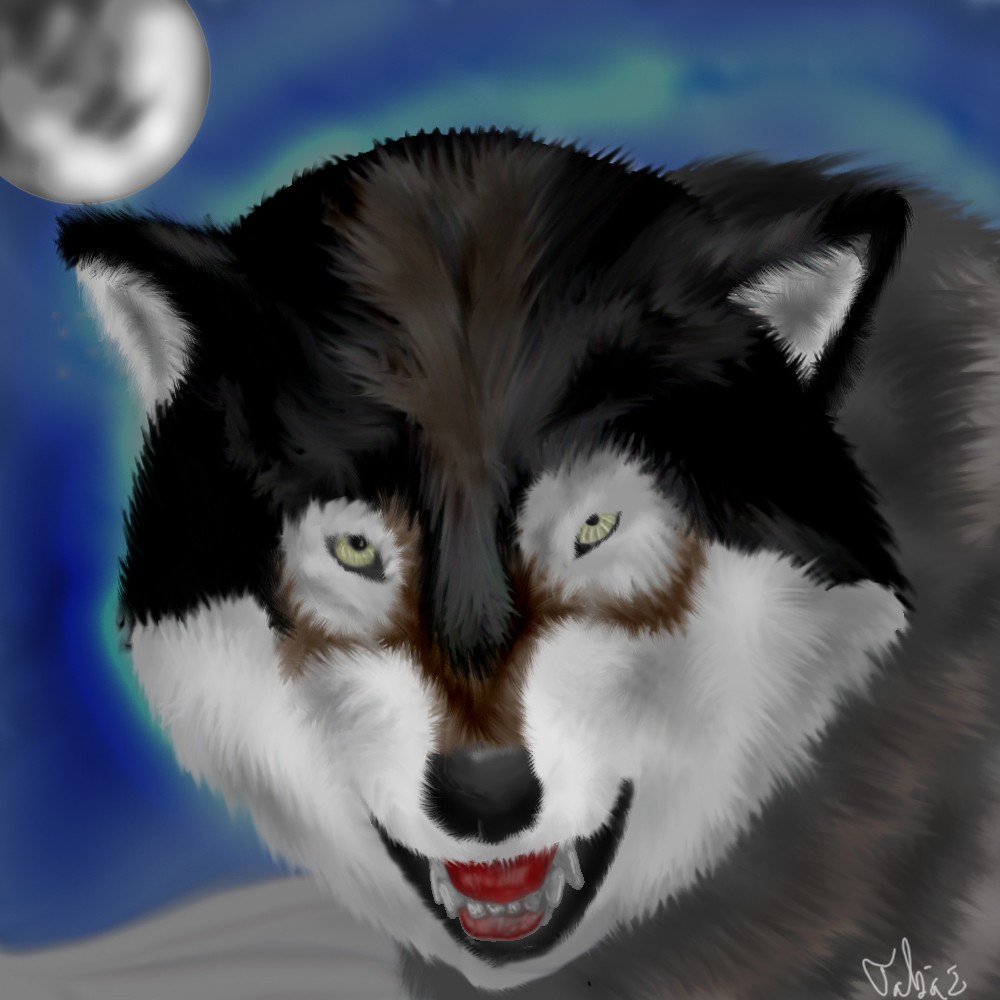 Wolf