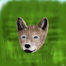 Wolf puppy colored :)