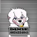 DIXIE in jail