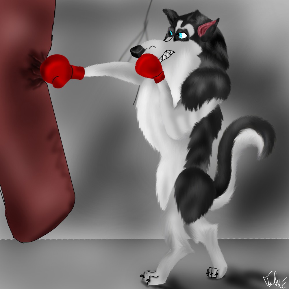 Steele boxing