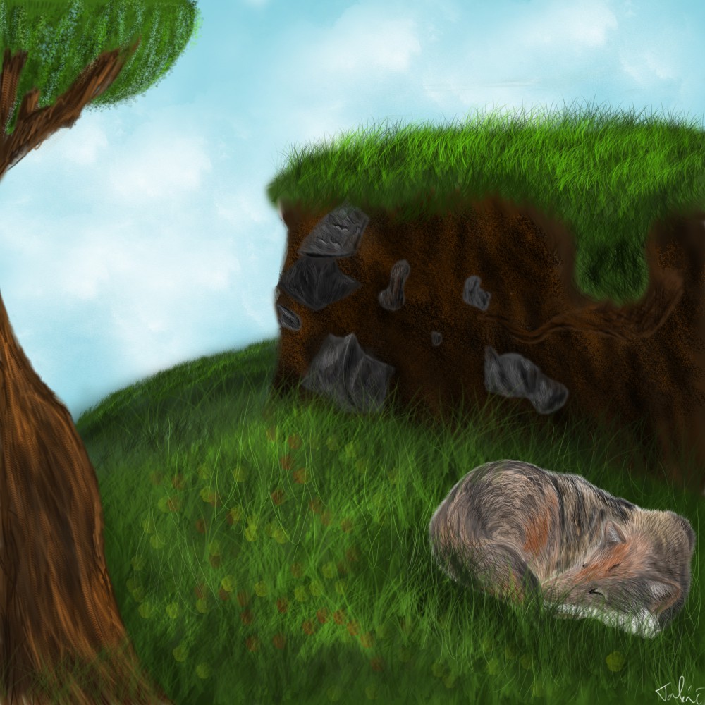 Slpeeping wolf 