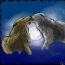 Gift for my girlfriend ^^