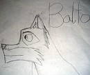 Balto