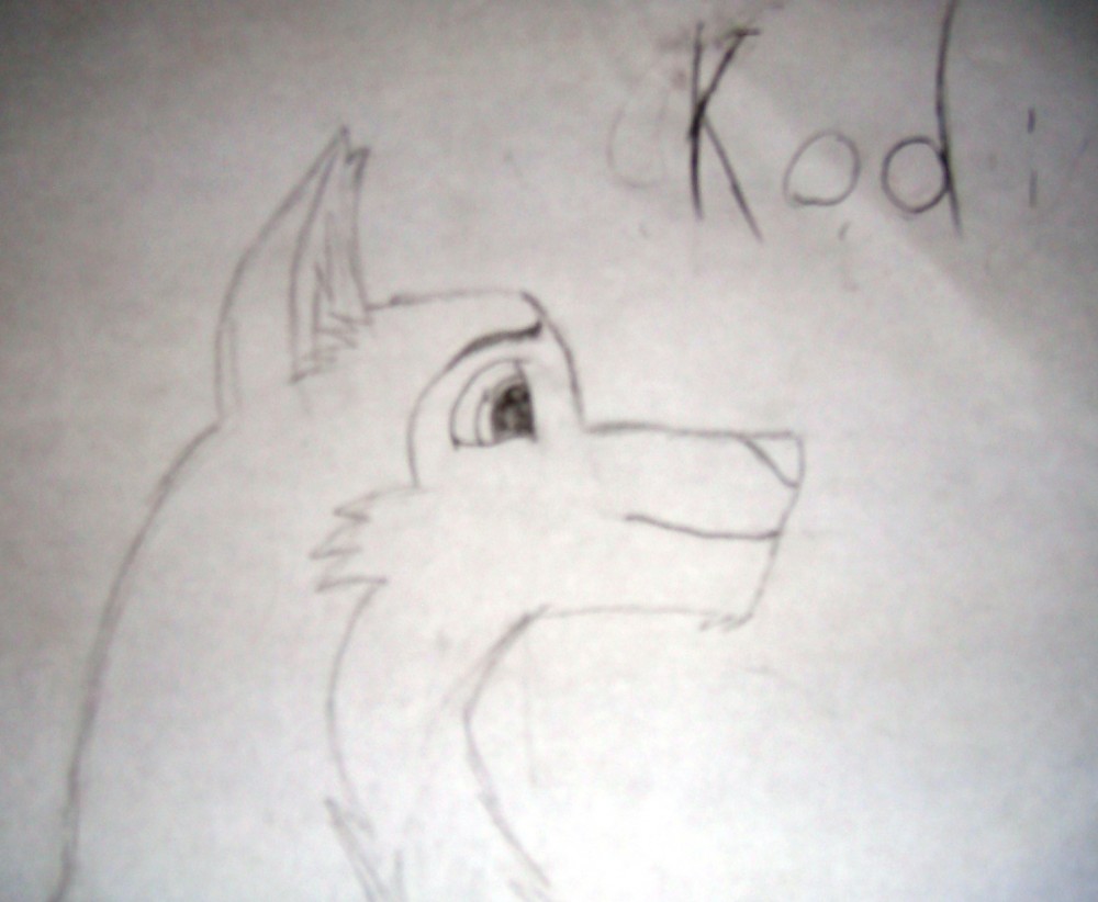 Kodi
