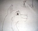 Kodi