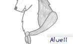 Alue11