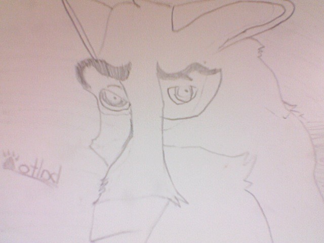 BALTO