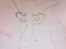 BALTO
