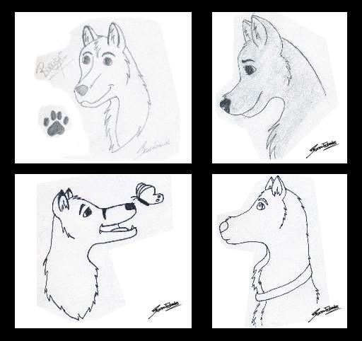 Sketchy's