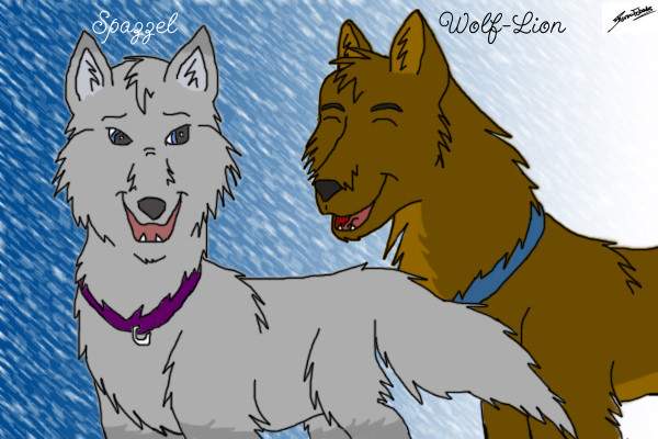 For WolfLion