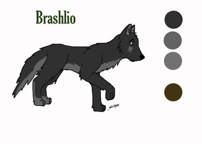 Brashlio