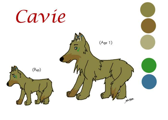 Cavie