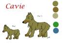 Cavie