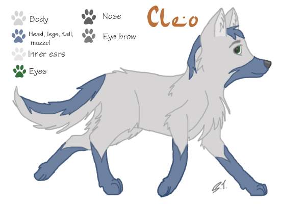 Random Wolf-Cleo