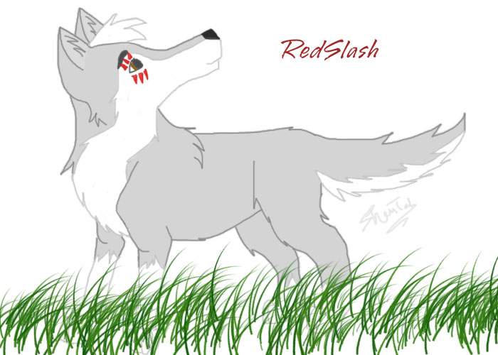RedSlash