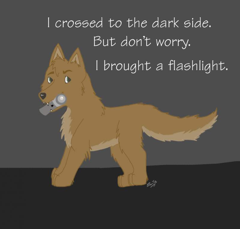 To the dark side