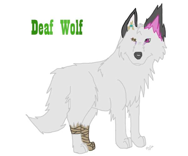 Deaf Wolf (c) Wolf-Lion