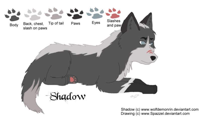 Shadow