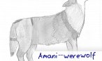amani_werewolf