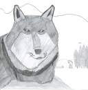 The Onlooker