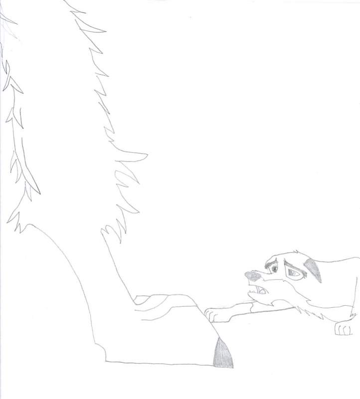 Aniu and Balto