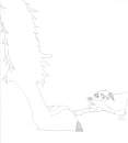 Aniu and Balto