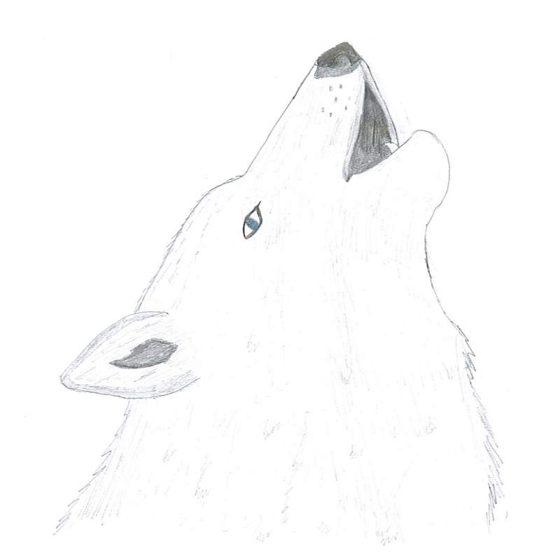IceShadow