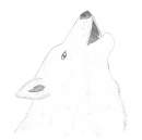 IceShadow