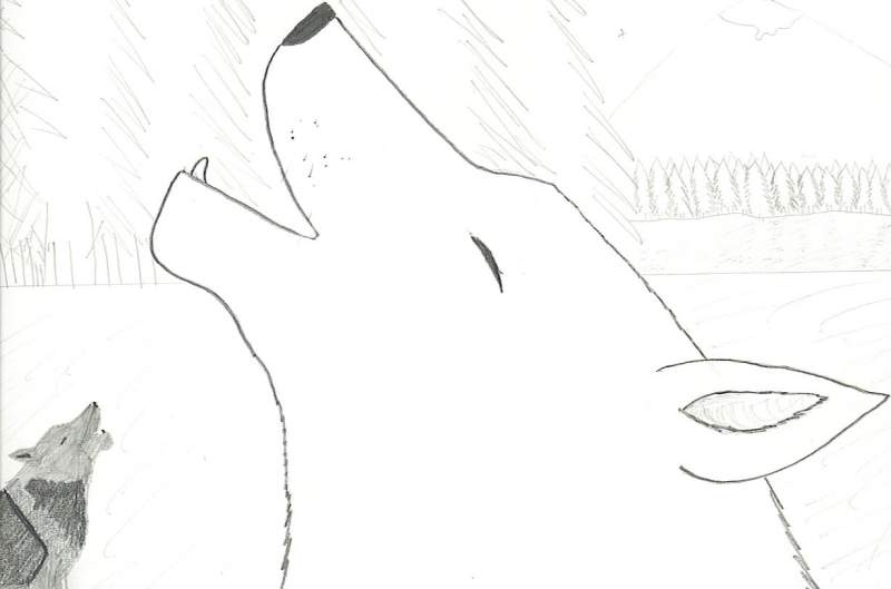 A howl in the clearing