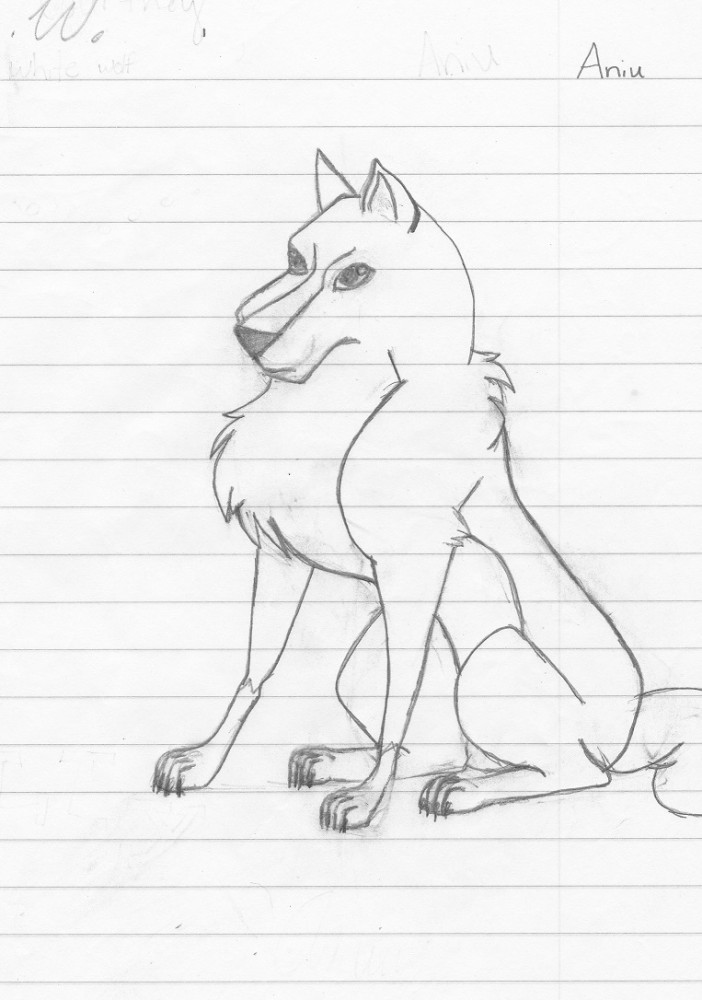 Aniu